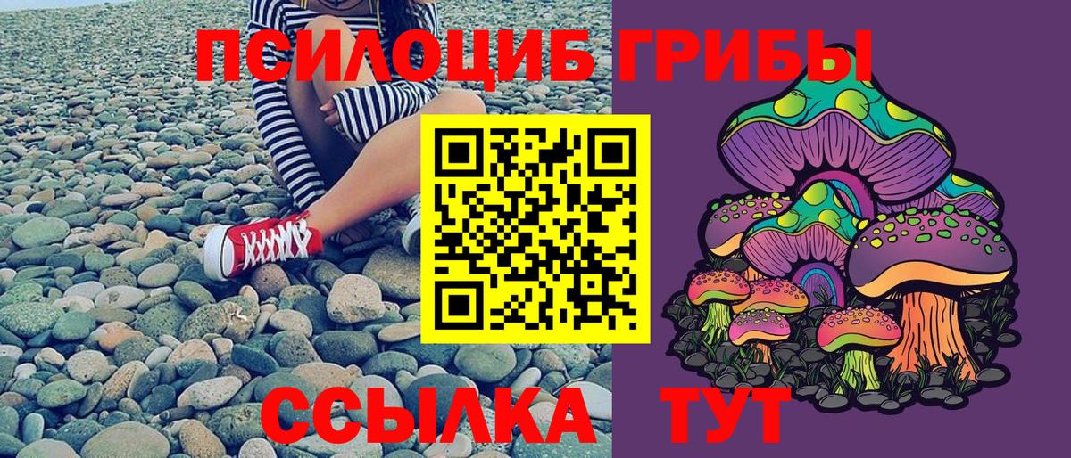 Галлюциногенные грибы прущие грибы  Галлюциногенные грибы прущие грибы  Курчатов  Вход с VPN 